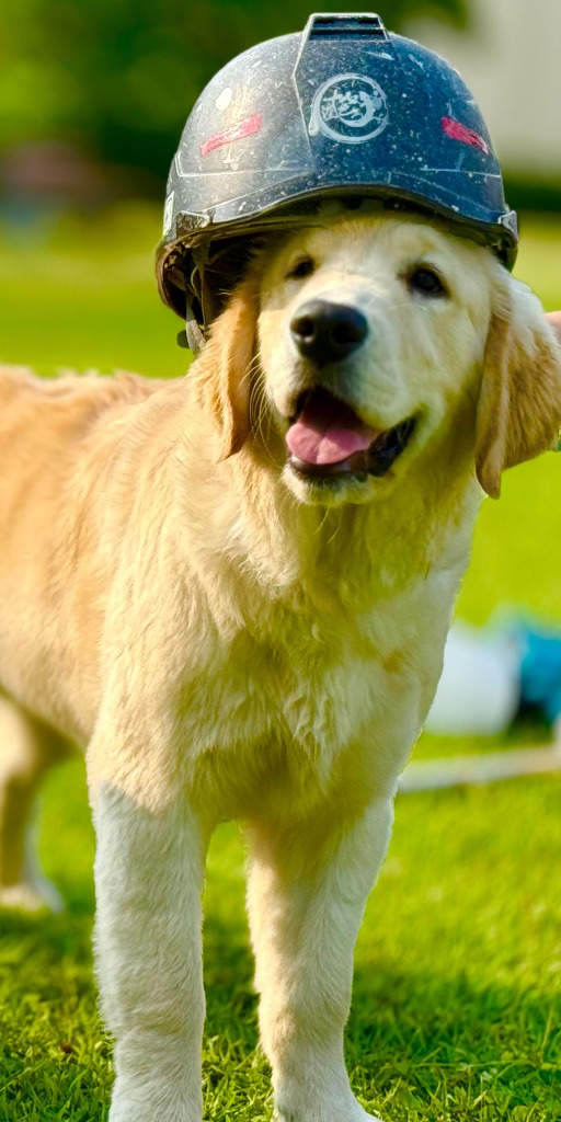 外壁塗装を始め、防水工事や住宅リフォームを行う愛知県半田市の『十人塗色』は見積もり無料！