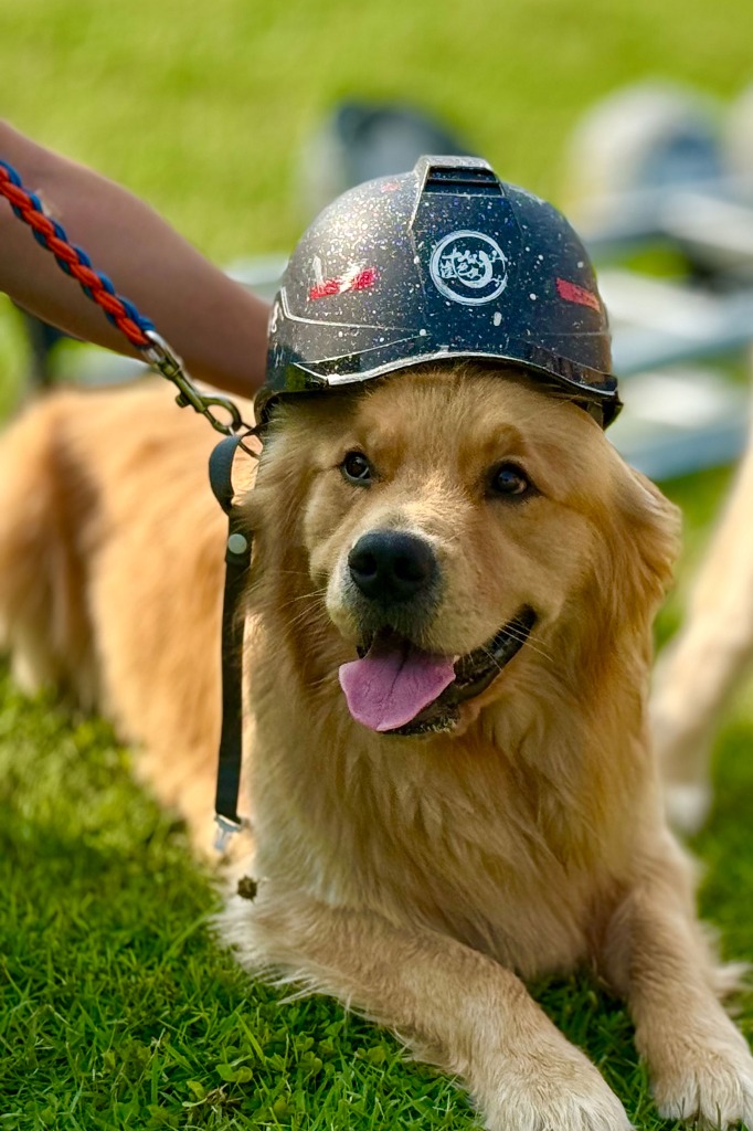 外壁塗装を始め、防水工事や住宅リフォームを行う愛知県半田市の『十人塗色』は見積もり無料！